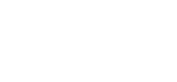 BCL Globiz Logo