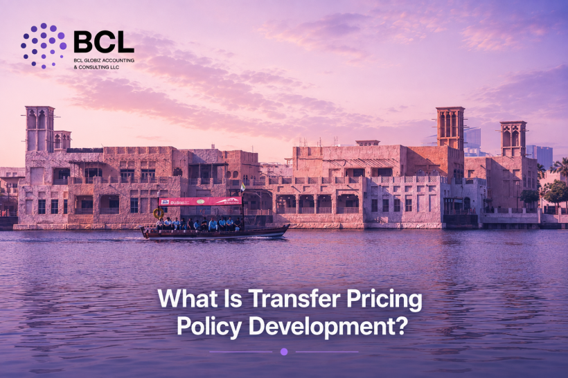 What Is Transfer Pricing Policy Development