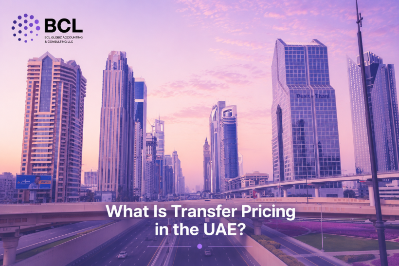 What Is Transfer Pricing in the UAE