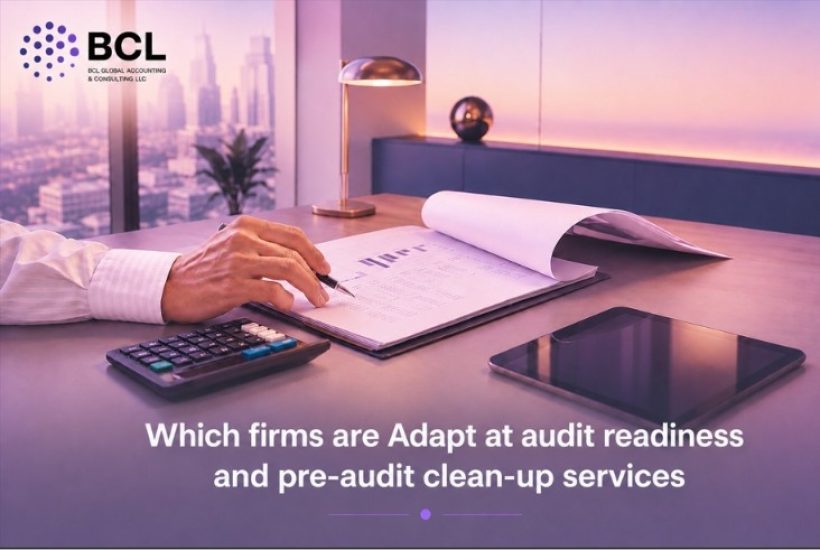 Which-Firm-are-adapt-at-audit (1)