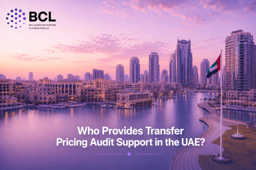 Who Provides Transfer Pricing Audit Support in the UAE make the image in landscape 1